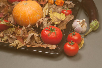 Autumn Thanksgiving day background. Halloween Pumpkin, tomato. Beauty Holiday autumn festival concept. Fall scene. Orange pumpkin over beauty bright autumnal nature background. Harvest