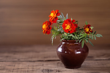 Marigold in a ceramic vase