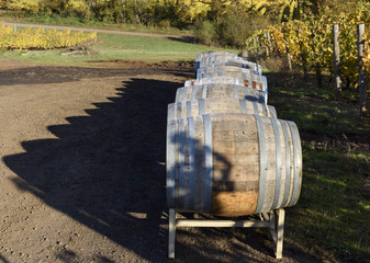 Vineyard Oak Barrels, Mid-Willamette Valley, Marion County, Western Oregon