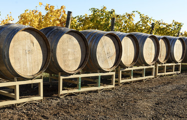 Vineyard Oak Barrels, Mid-Willamette Valley, Marion County, Western Oregon