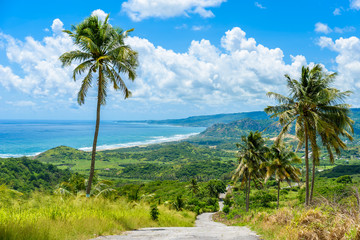 View from Cherry Tree Hill to tropical coast of  caribbean island Barbados
