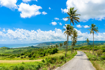 View from Cherry Tree Hill to tropical coast of  caribbean island Barbados - obrazy, fototapety, plakaty