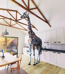 Papier Peint photo autocollant Girafe Giraffe in the attic
