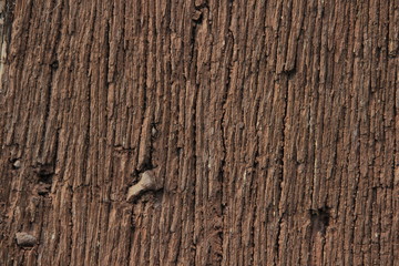 Holz Struktur Hintergrund