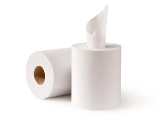Two white soft toilet paper rolls
