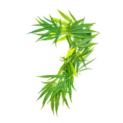 Number seven made from green cannabis leaves on a white background. Isolated