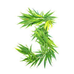 Number three made from green cannabis leaves on a white background. Isolated
