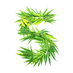Number five made from green cannabis leaves on a white background. Isolated
