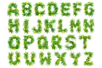 Alphabet made of green cannabis leaves on a white background. Isolated