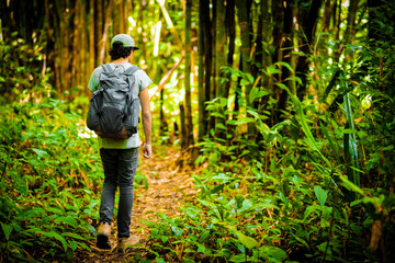 Naklejka na ściany i meble Man traveler traveling walking with backpack at the jungle on holiday at weekend on background nature view
