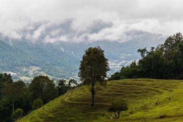 Beautiful landscape  view of green meadows and mountain slopes, green hill and  natural background in misty day at  Doi Inthanon national park in Chomthong district, Chiamgmai province ,Thailand.