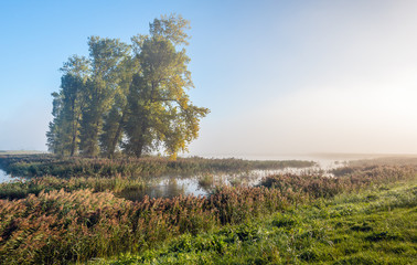Fototapeta premium Sunrise in a Dutch nature reserve