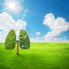tree