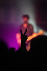 Foto op Plexiglas fans hands at concert © Libero