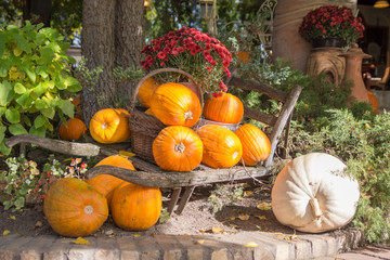 Beautiful garden decoration with orange pumpkins