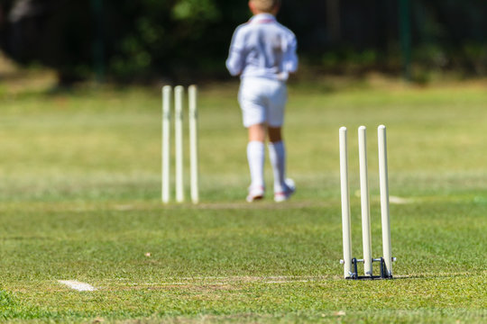 Cricket Wickets Pitch Junior Bowler