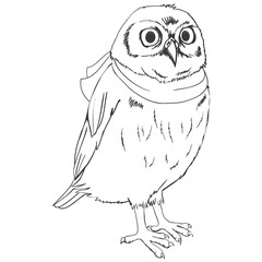 Owl Graphic Black & White