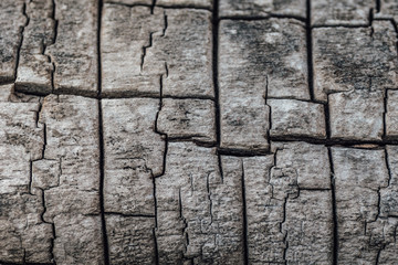 Closeup of burned wood