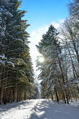 Fototapety na wymiar - Fototapeta24.pl