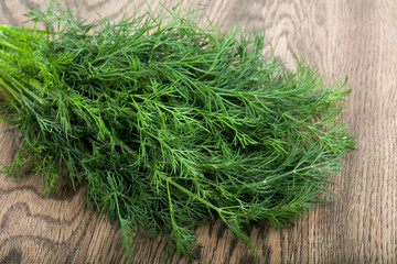 Dill