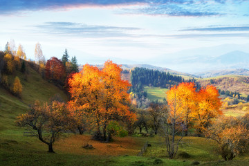 Naklejka na ściany i meble Amazing rural scene on autumn valley