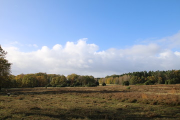 Der perfekte Herbstblick