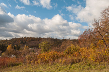 Fototapeta premium autumn here in neighborhood, fall colors in nature