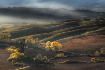 Beautiful Tuscany landscape at sunrise in golden morning light, Val d'Orcia, Italy