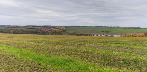 Fototapeta na wymiar Autumnal panoramic landscape with harvested cereals field in Sumskaya oblast, Ukraine