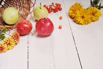 Autumn still life of apples