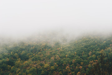 View of foggy mountains with trees