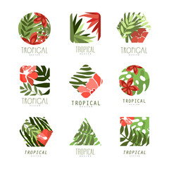 Collection of geometric tropical logo with leaves and flowers