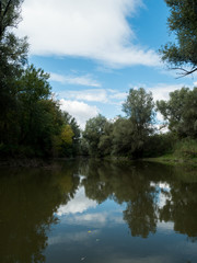 Fototapeta na wymiar Calm water in nature park Kopacki rit