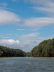 Waterway in nature park Kopacki rit in Croatia on sunny day