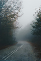 Obraz premium Autumn landscape, foggy road in forest