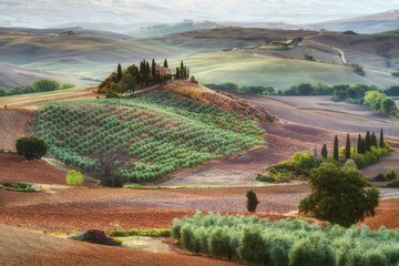 rural house on the hill among vineyards, Tuscany, Italy