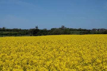 Sommer, Sonne, Urlaub - Erholung pur