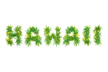 Word Hawaii made from green cannabis leaves on a white background. Isolated