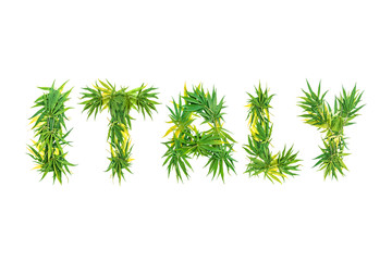 Word Italy made from green cannabis leaves on a white background. Isolated