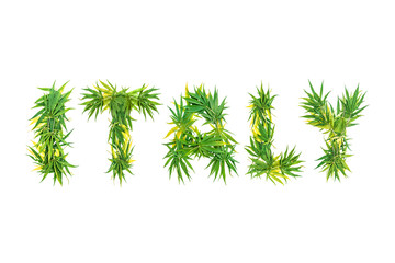 Fototapeta premium Word Italy made from green cannabis leaves on a white background. Isolated