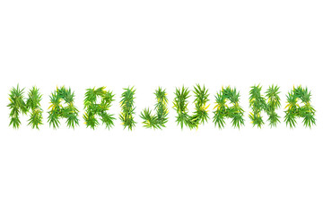 Word MARIJUANA made from green cannabis leaves on a white background. Isolated