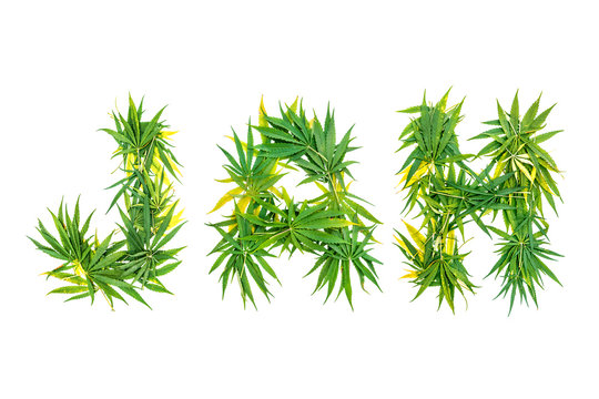 Word JAH made from green cannabis leaves on a white background. Isolated