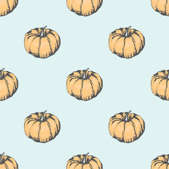 Big Ripe Pumpkin Illustration in Seamless Pattern