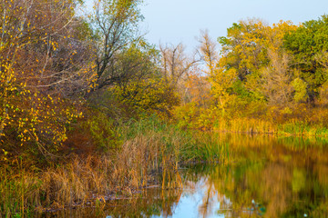 quiet autumn river landscape