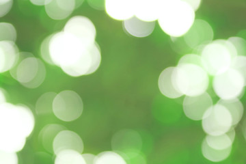 Obraz premium Green bokeh, abstract blurred background from nature forest.