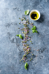 Fototapeta na wymiar Young radish sprouts with pink himalayan salt and basil leaves with bowl of olive oil and balsamic vinegar over blue texture background. Top view with copy space. Healthy diet concept, food background