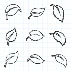 Artistic collection of hand drawn leaves set. Isolated and real pen sketch. Vector Illustration