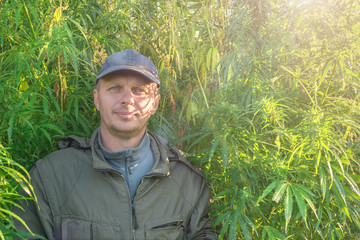 Adult man in a cap on a hemp field