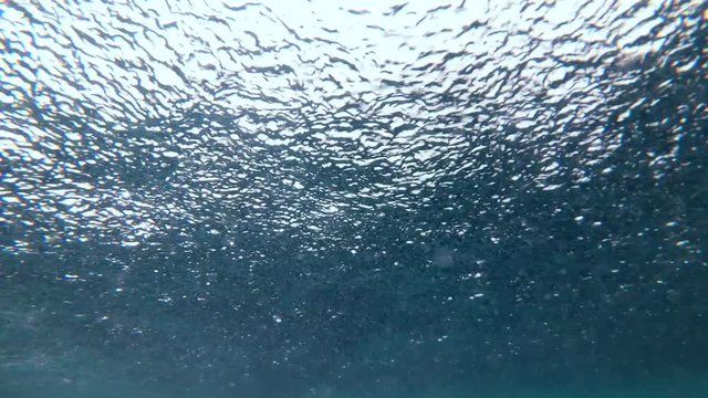 tropical rain in the ocean (view from under water)
