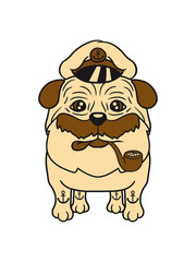 matrose kapitän mütze hut seefahrer meer boot schiff segeln mops klein dick hund welpe süß niedlich haustier comic cartoon